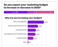 A graph showing that the majority of businesses are increasing marketing budget to get more leads/sales