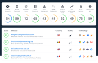 Website analysis dashboard for WooRank with performance scores and website data.